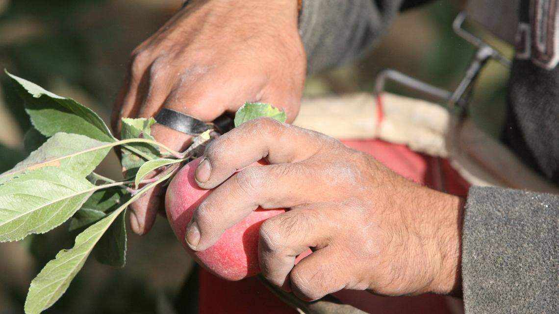 WA farm labor firm fined whopping $1.25M for violations involving 5,000 workers