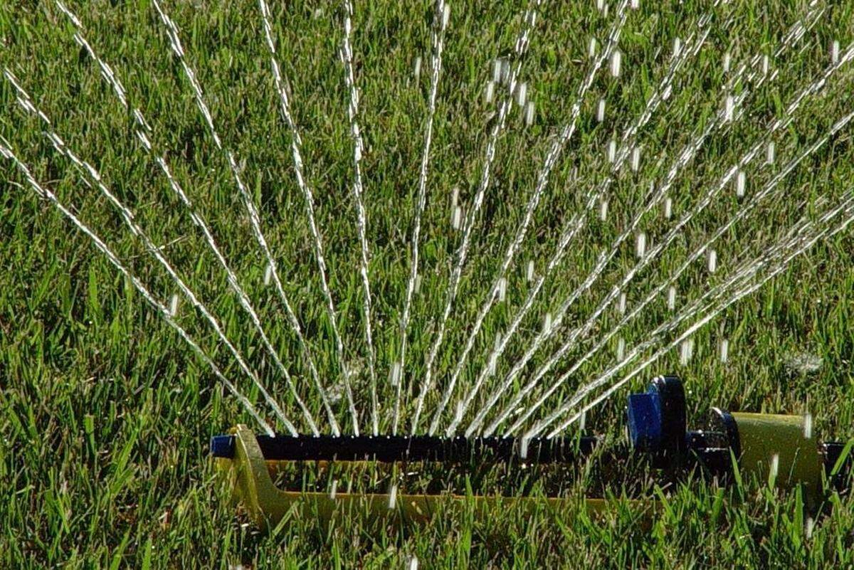 The Kennewick Irrigation District should receive a little more than 75 percent of its water allotment this year, according to the latest water forecast.