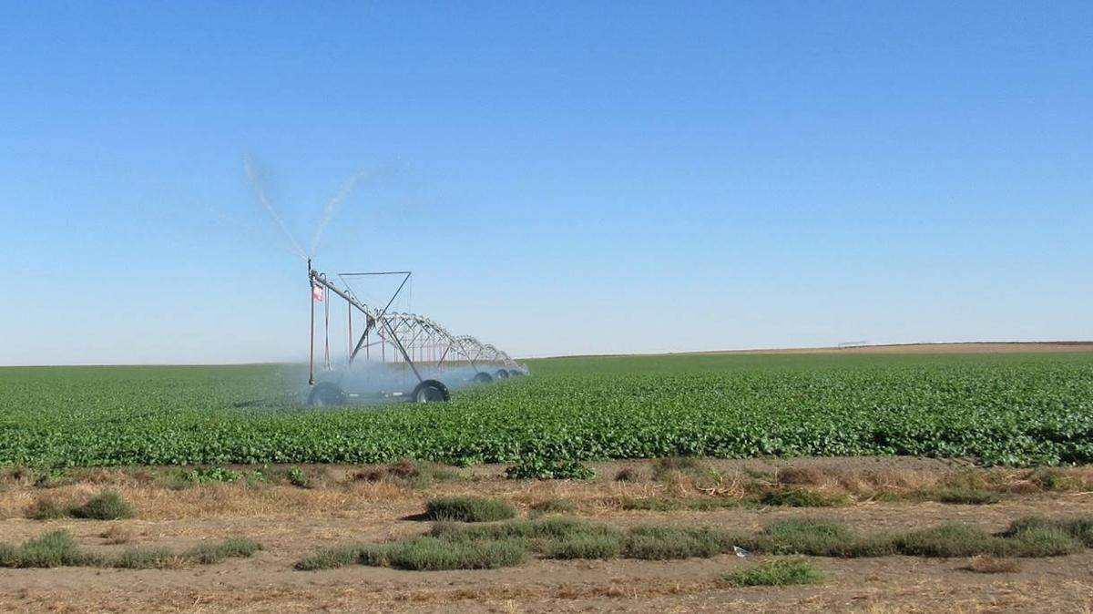 A Franklin County business is appealing a fine of $304,000 by the Washington state Department of Ecology, which says it irrigated without the proper water rights.
