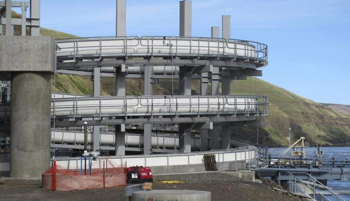 An elevated fish ladder helps migrating fish swim through the Lower Granite Dam on the Snake River. A federal judge has found that not enough is being done to improve Northwest salmon runs and has ordered a federal environmental review of the power system.