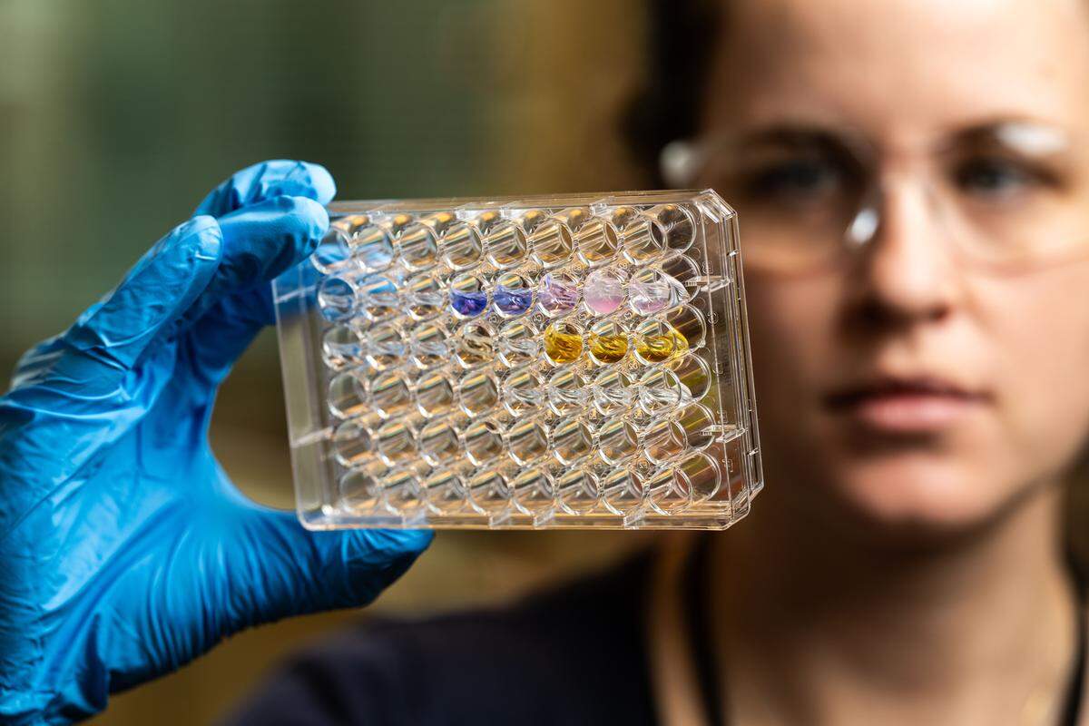 Elise Van Fossen is among the researchers at PNNL who are developing a technique to augment bacteria with amino acids, leading to new functions in the bacteria and helping pave the way for the emerging field of predictive phenomics.