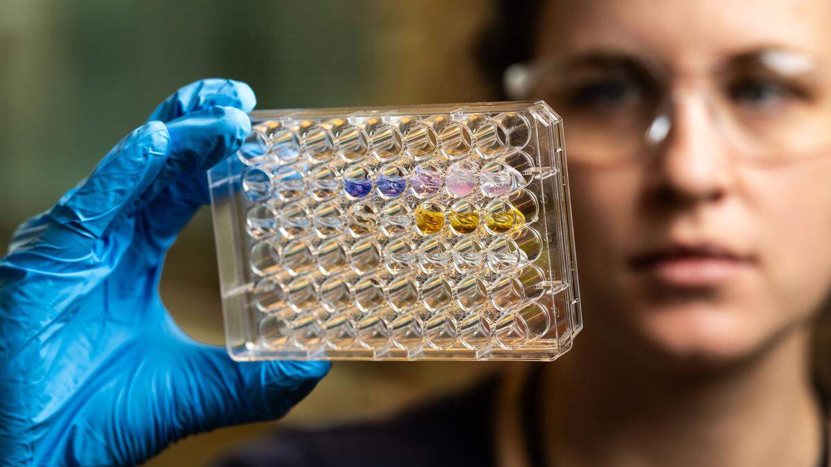 Elise Van Fossen is among the researchers at PNNL who are developing a technique to augment bacteria with amino acids, leading to new functions in the bacteria and helping pave the way for the emerging field of predictive phenomics.