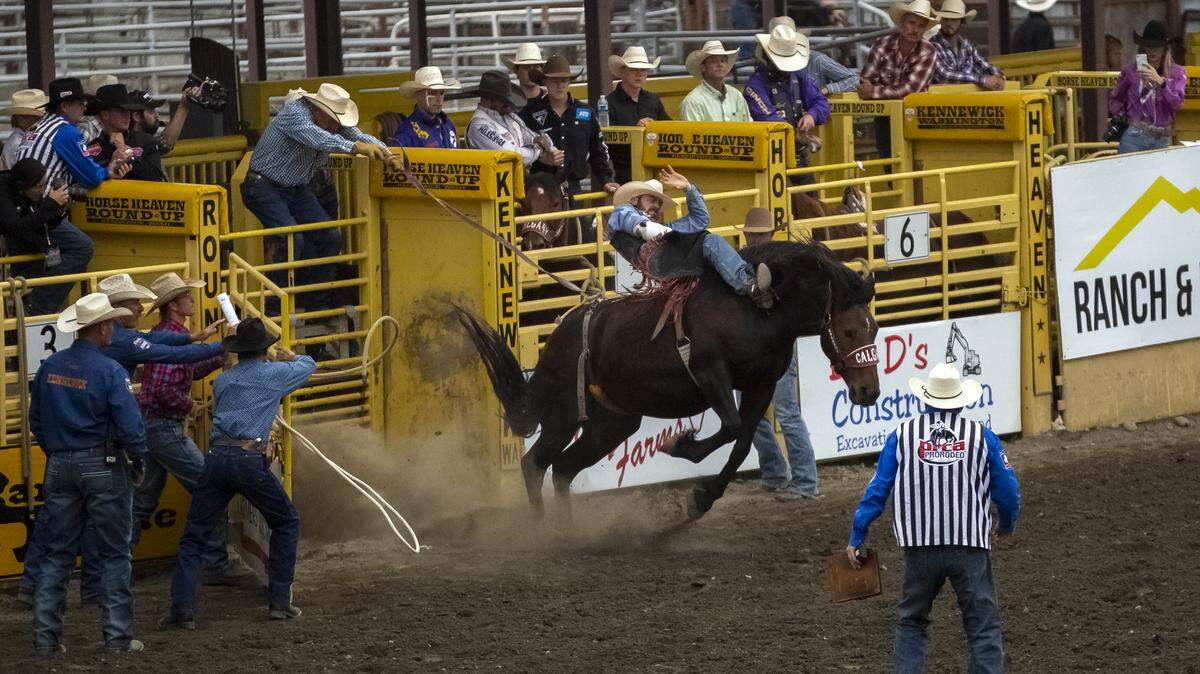The 2019 Benton Franklin Fair raised enough money for Second Harvest Tri-Cities to purchase nearly 8,000 pounds of food. 