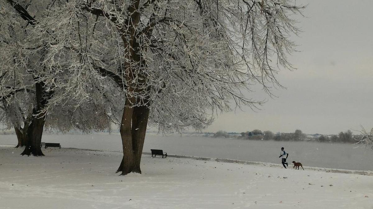 Jeff Burckhard of Pasco sent in this photo of a runner and his dog taken Saturday at Howard Amon Park in Richland. Got a photo to share? Go to tricityherald.com/sendphoto