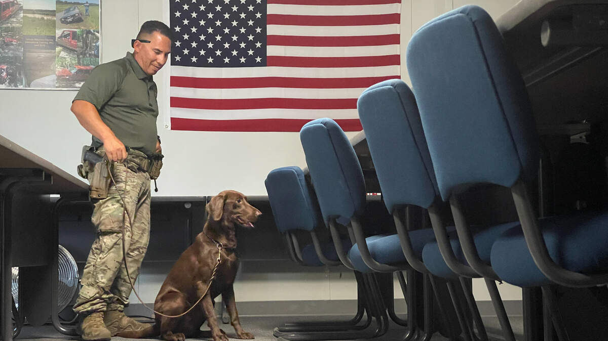 New Hanford site K-9 Dee is partnered with Patrol Officer Manny Rodriguez to sniff out explosives.