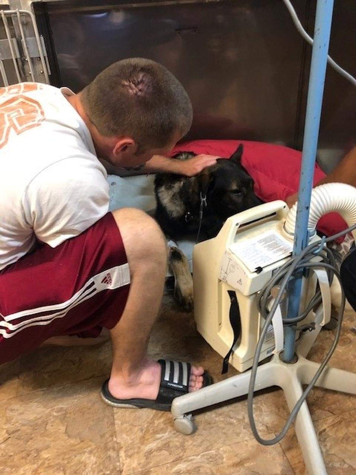 Officer Josh Madsen waits with his four-legged partner Lemon at the veterinarian’s office after a the dog’s stomach flipped.