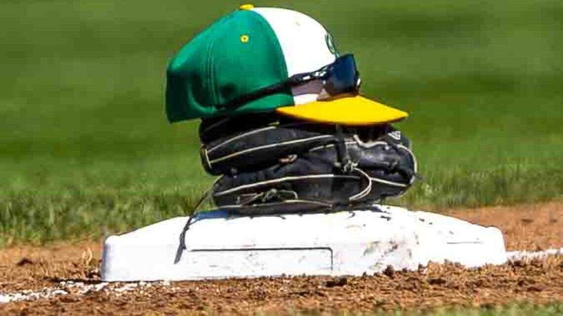 Tri-Cities area baseball teams battled it out in state tournaments