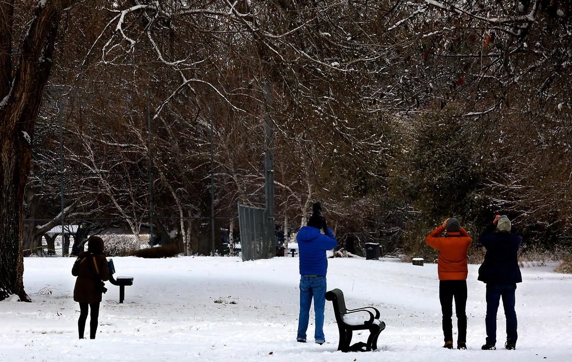 Birding enthusiasts using binoculars and cameras with long lenses watch an eastern bluebird as it perches on a tree branch near the Columbia River in Richland.