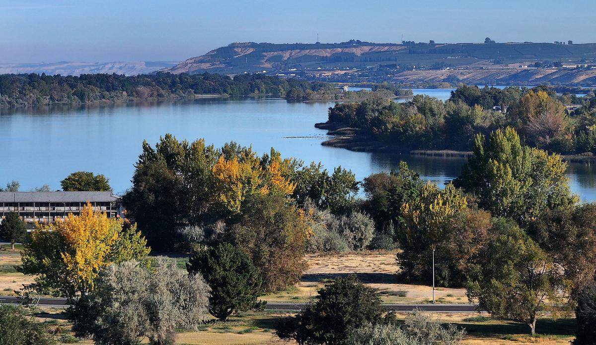 Fall weather has started to change the color of leaves near Columbia Point area along the Columbia River in Richland.