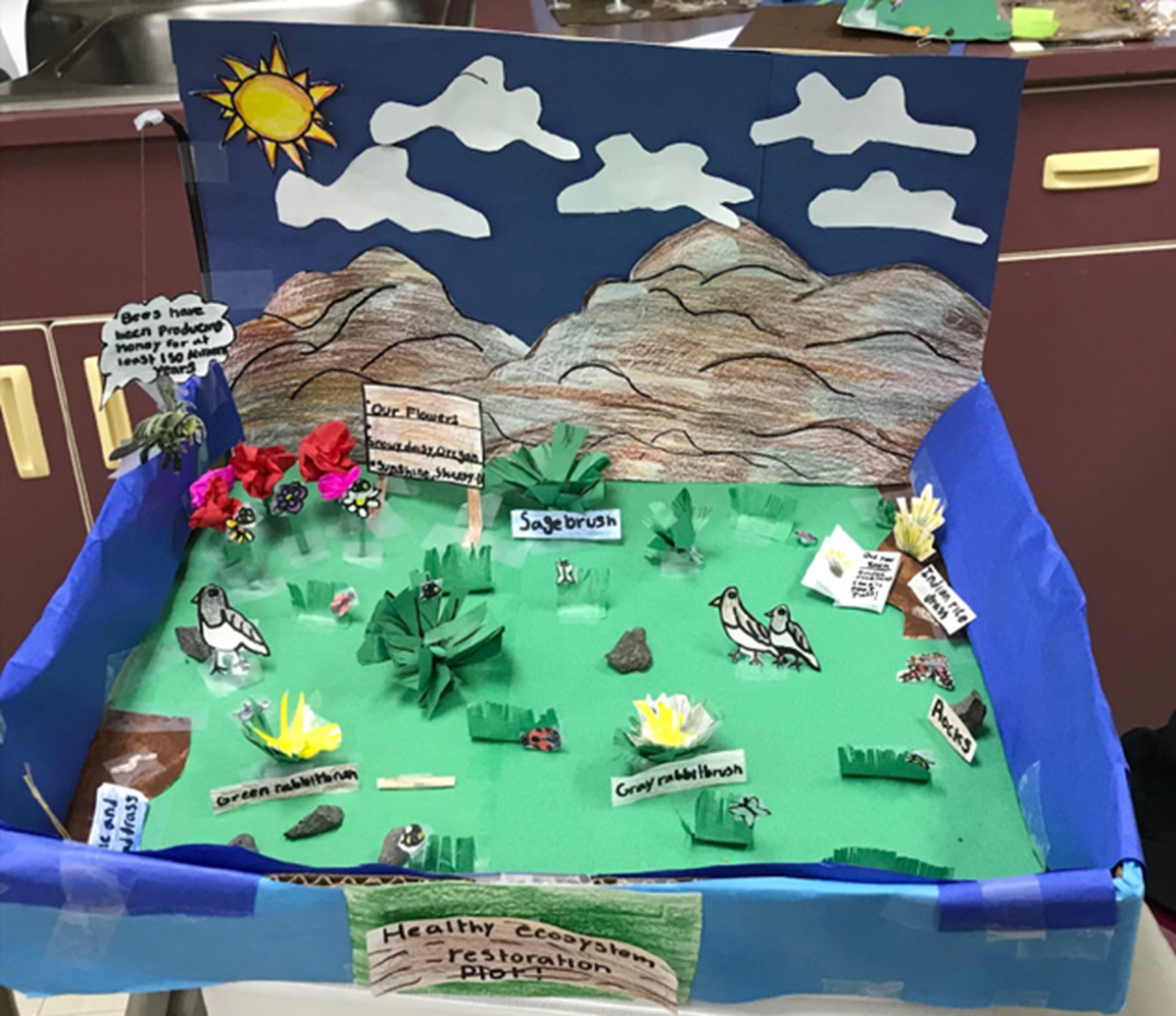 A conceptual project site created in the classroom showing ecosystem components.