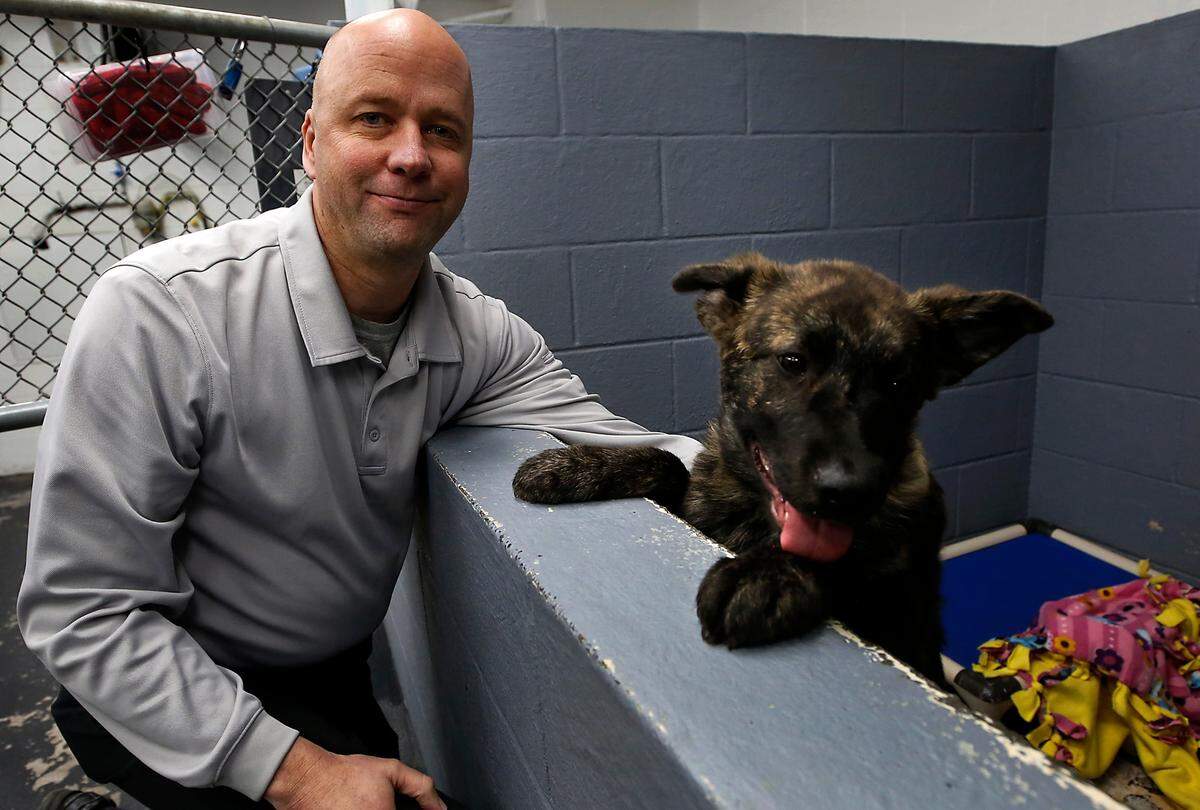 Ben Zigan, animal services manager for the Tri-Cities Animal Shelter and Control Services, kneels next to a puppy in a kennel at the Pasco facility. Shelter officials have been criticized lately after 5 dogs considered too aggressive were euthanized.