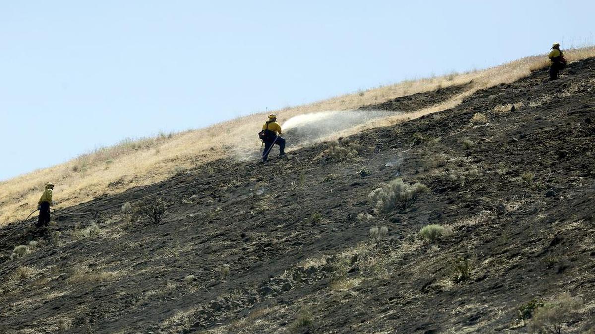 Firefighters work on keeping hot spots under control Wednesday afternoon as Benton Fire District 2 and multiple other agencies fought a wildfire in Webber Canyon, south of Benton City. The fire, which started before 8:30 Wednesday morning, grew to around 500 acres.