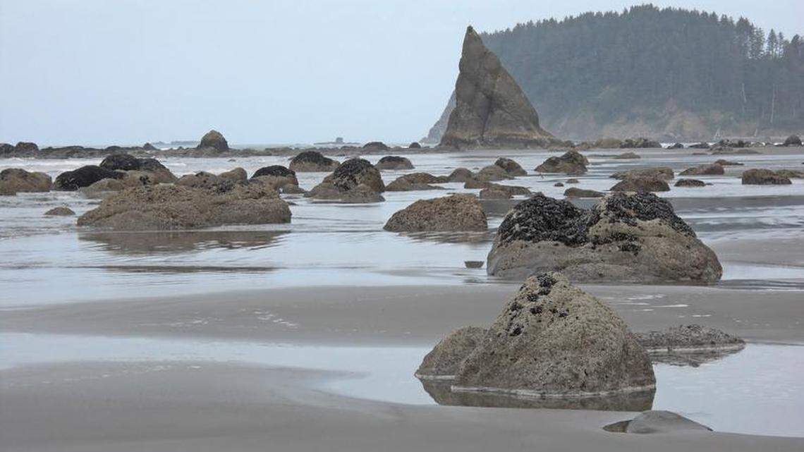 Low tide reveals the rocks and beach along a 17-mile hike on the south coast route of Olympic National Park, including triangle-shaped Diamond Rock. Congress needs to find a designated funding source to fix park roads, tunnels and bridges in our national parks.
