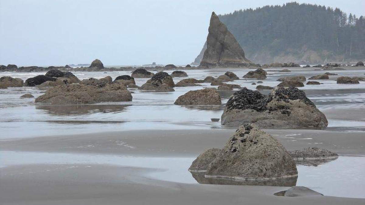 Low tide reveals the rocks and beach along a 17-mile hike on the south coast route of Olympic National Park, including triangle-shaped Diamond Rock.