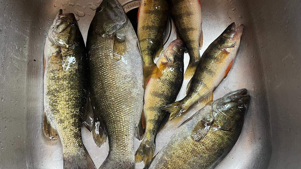 Good company makes up for bad haul on slow August fishing trip | Outdoors