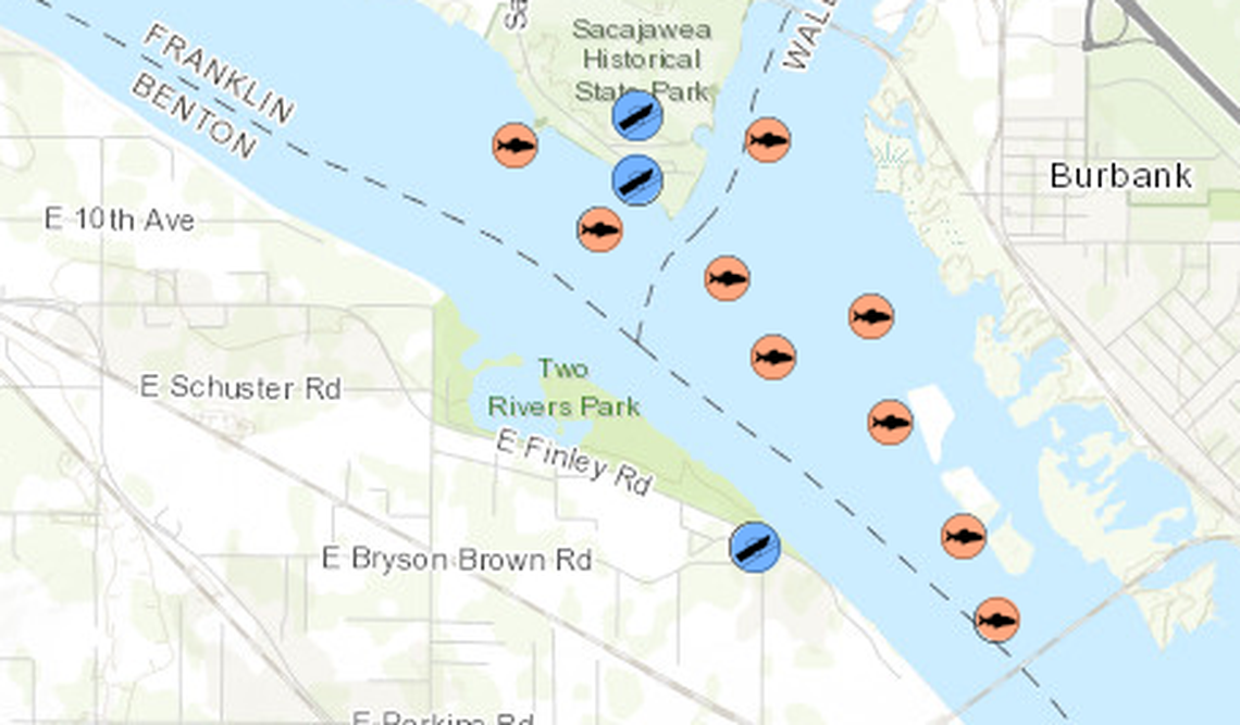 The fish in orange circles on this map show areas that have historically been good for catching northern pikeminnow near the confluence of the Snake and Columbia rivers.