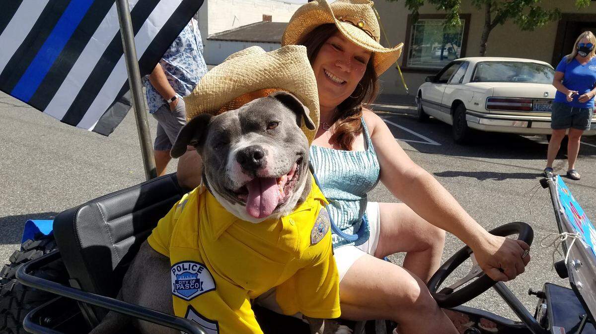 Eddie Spaghetti, a Staffordshire Terrier and honorary K9 officer with an inoperable brain tumor from the nonprofit organization Mikey’s Chance, was the grand marshal of the mini 2020 Benton Franklin Fair & Rodeo parade Saturday in downtown Kennewick. The Rodeo Queen Lexy Hibbs also made an appearance at the mini event that included socially distanced food vendors and retail booths. The event was one of many items Eddie has been able to check off his bucket list.