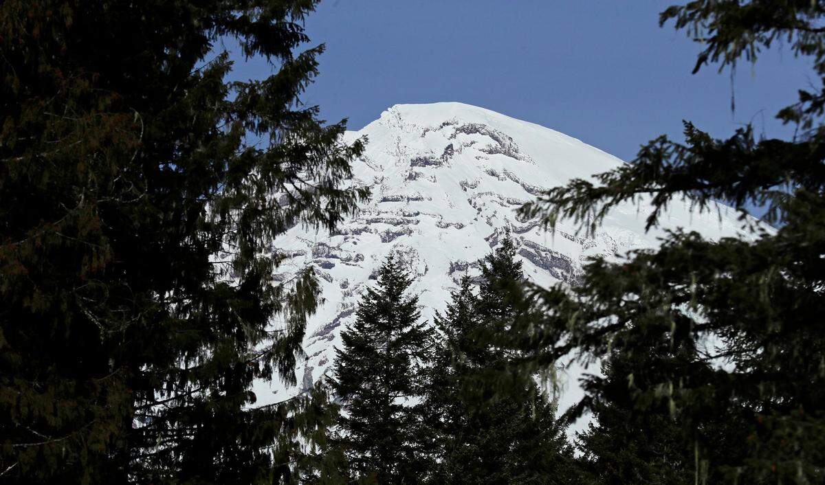 Mount Rainier is seen through the trees at Mount Rainier National Park, Monday, Jan. 28, 2019, in Washington state.