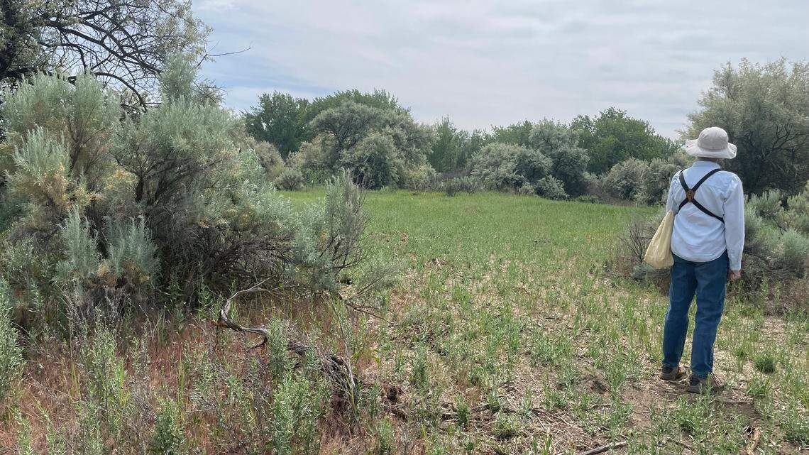 Richland had good intentions for a park. But along the way it all went wrong | Editorial