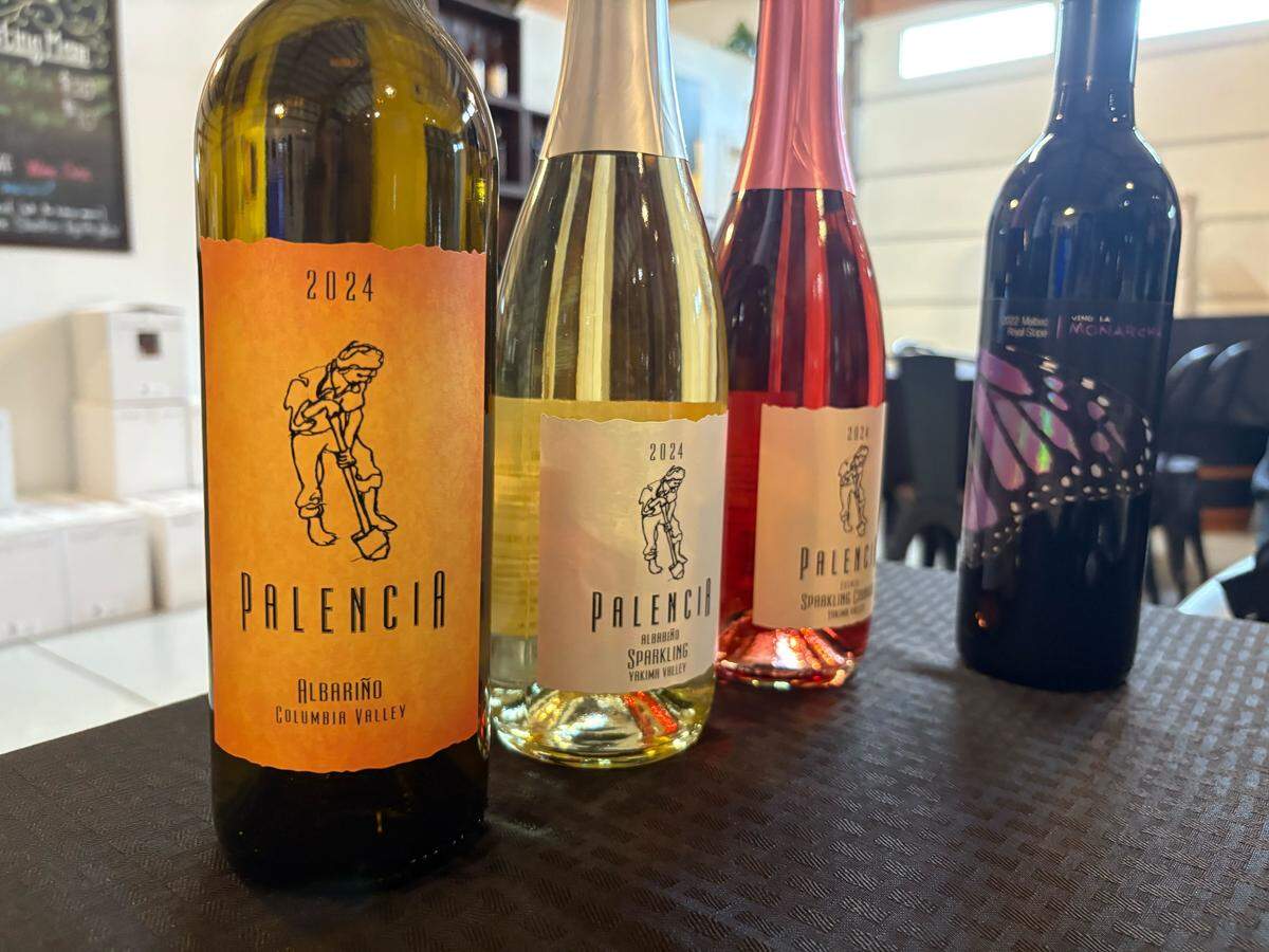 Four popular Palencia and Monarcha wines for the current season.