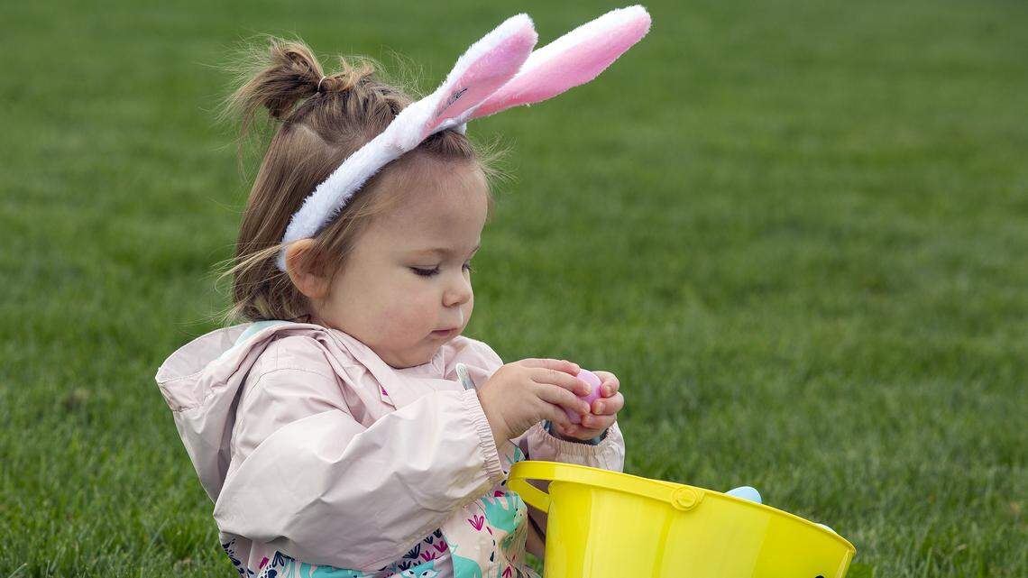 Hop to it! Easter egg hunts around Tri-Cities for April 2023