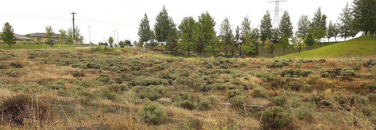 The Tri-Cities Calvary Chapel church on West Clearwater Avenue in Kennewick has a large outdoor amphitheater near a vacant field.