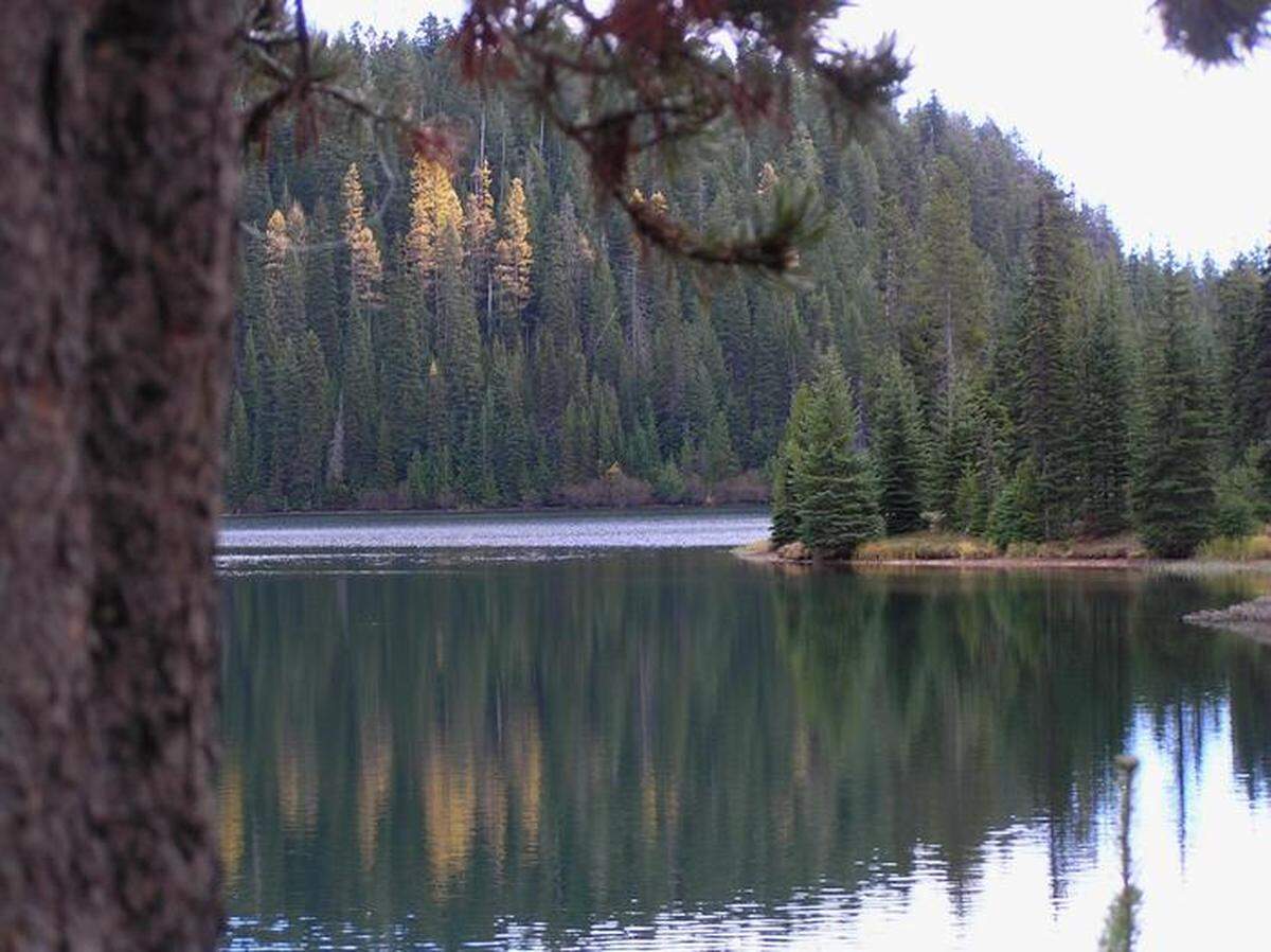 Jubilee Lake Campground is the largest and most popular campground in the Umatilla National Forest.
