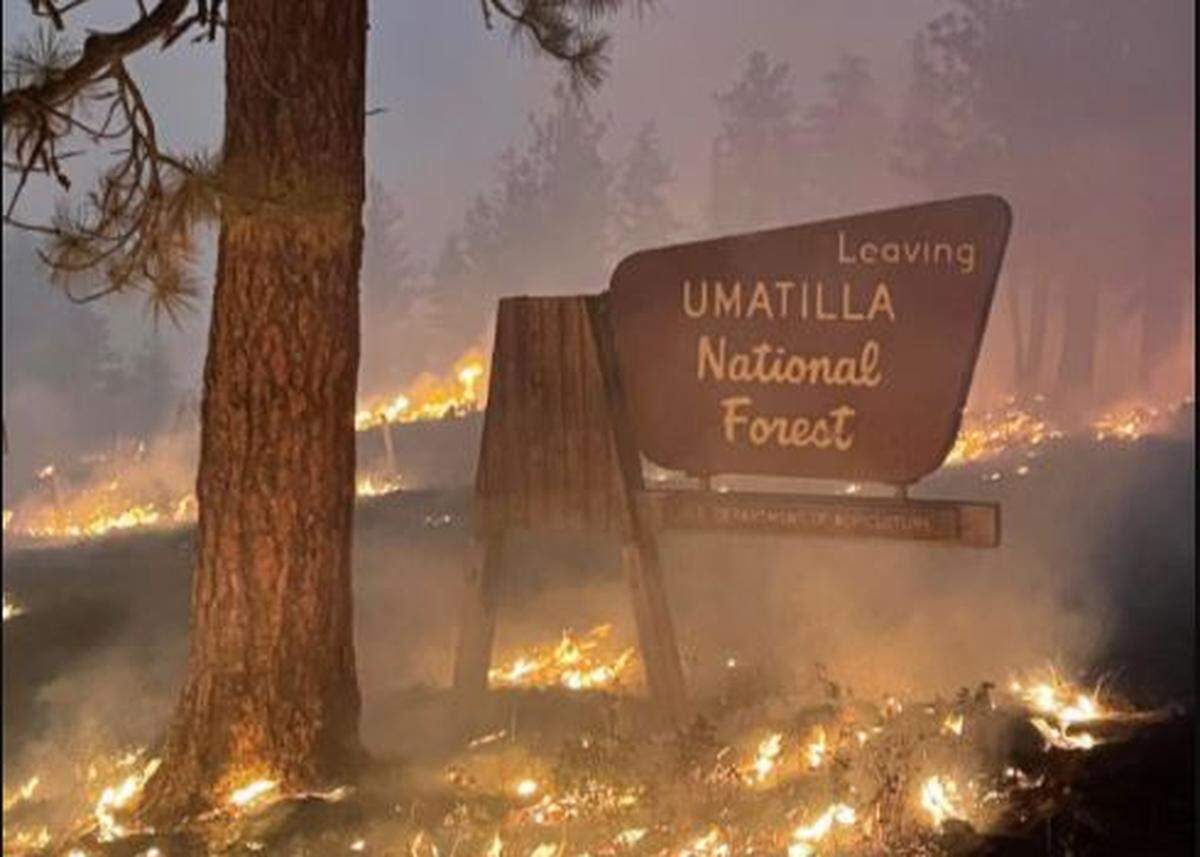 The northern portion of the Walla Walla Ranger District and the Pomeroy Ranger District remain closed to the public as the Green Ridge and Lick Creek fires continue to burn. This controlled burn was conducted by the Prineville Hotshots.