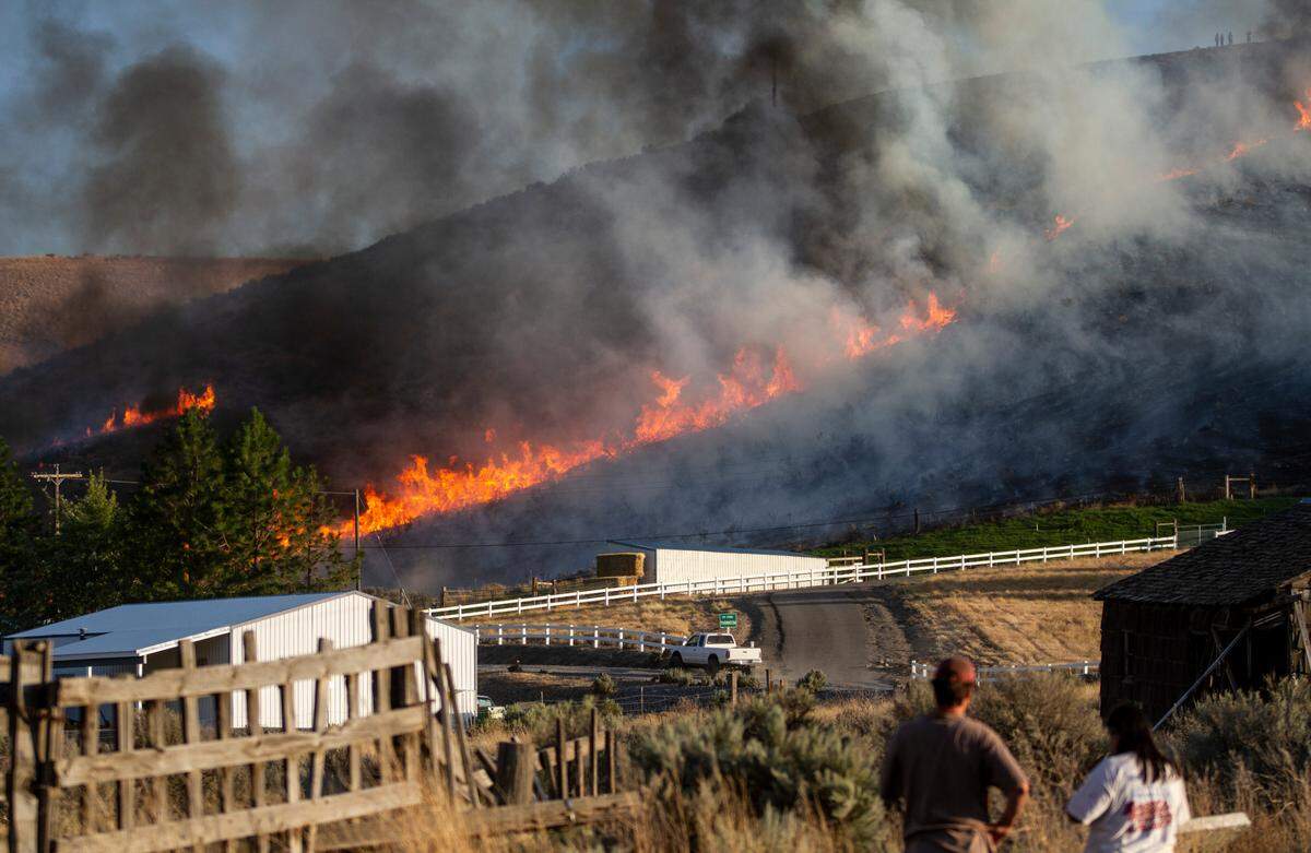 Firefighters from nine Tri-City fire departments were fighting a wildfire Friday in Badger Canyon caused by target shooters Friday evening. Wind and low humidity fueled the blaze in Benton County.