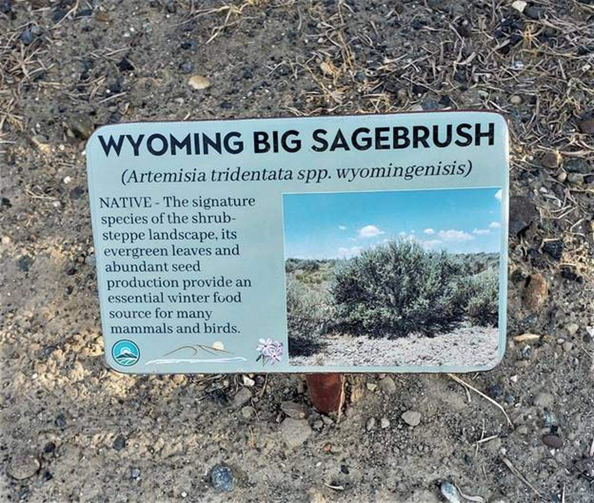 Plant signs on Candy Mountain Loop Trail.