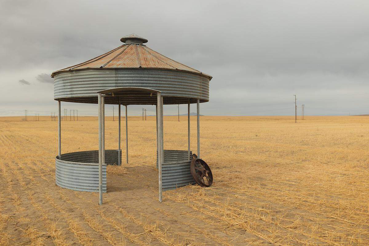 Tyler Grant and Kaitlyn Thompson’s father turned a grain silo that had stood in Montana for more than 100 years into an altar for the wedding they planned in a wheat field near Kennewick.