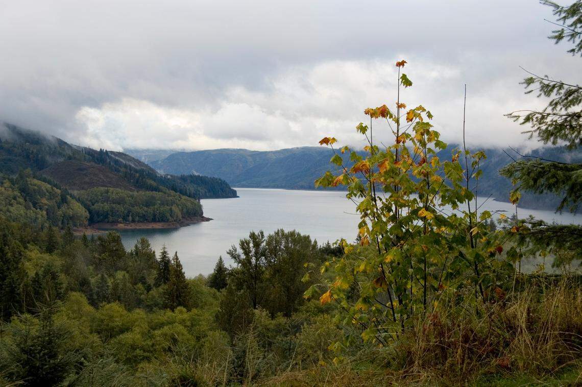 The start of autumn touches the trees surrounding the hills and mountains of Riffle Lake in the Gifford Pinchot National Forest.