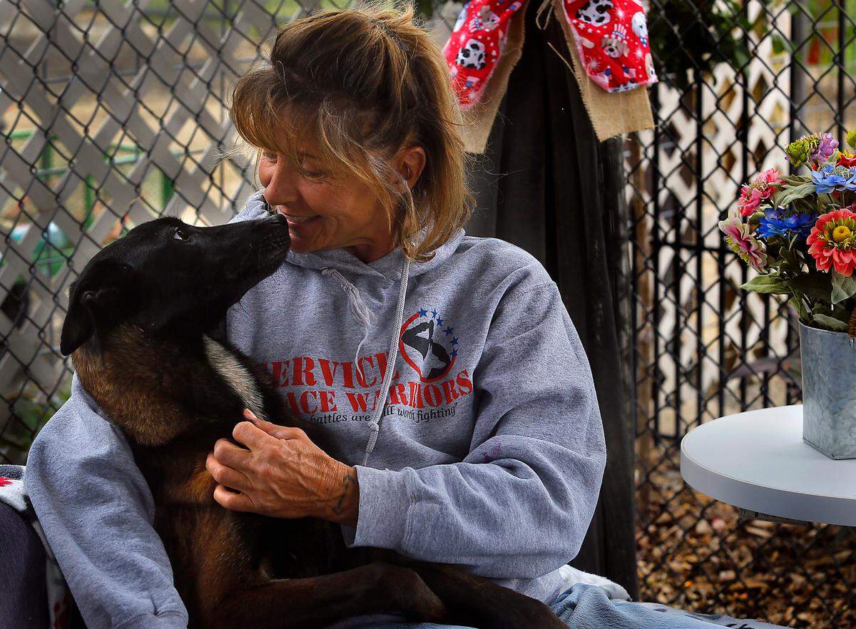 Mary Mattox smiles as Ahsoka, an emaciated Belgian Malinois, nuzzles her for the first time while sitting under a gazebo at the Mattox Dog Training Academy near Eltopia in rural Franklin County. Mattox is providing foster care for the malnourished dog that was taken in by Mikey’s Chance Canine Rescue.