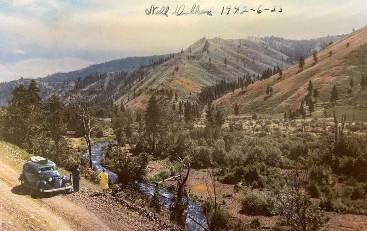 A 1942 postcard shows what is now part of the W.T. Wooten Wildlife Area. Then the land shown belonged to the Russell family, including the little cabin to the left of the river. The chimney is still standing.