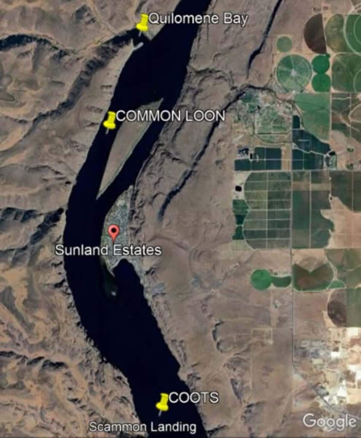 Washington state Fish and Wildlife Police found 21 waterfowl shot and killed in the Columbia River north of Vantage near Sunland Estates in Grant County.