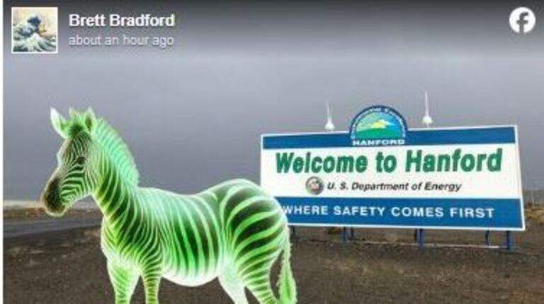 Zebra sightings in Eastern WA? Here’s where she’s been ‘spotted’ in Tri-Cities
