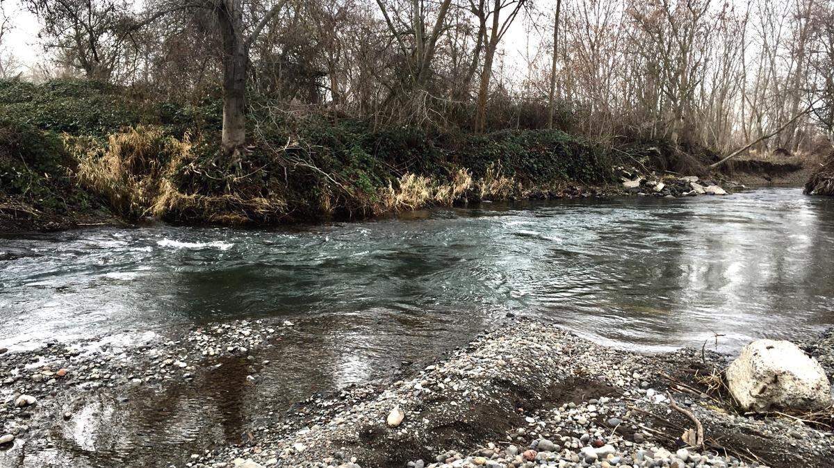 This unique honey hole was formed downstream of where Mill Creek adds flow to the Walla Walla River.