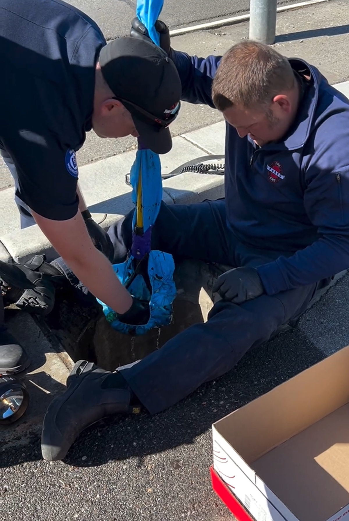 Pasco firefighters rescued eight ducklings after they fell down a storm drain.