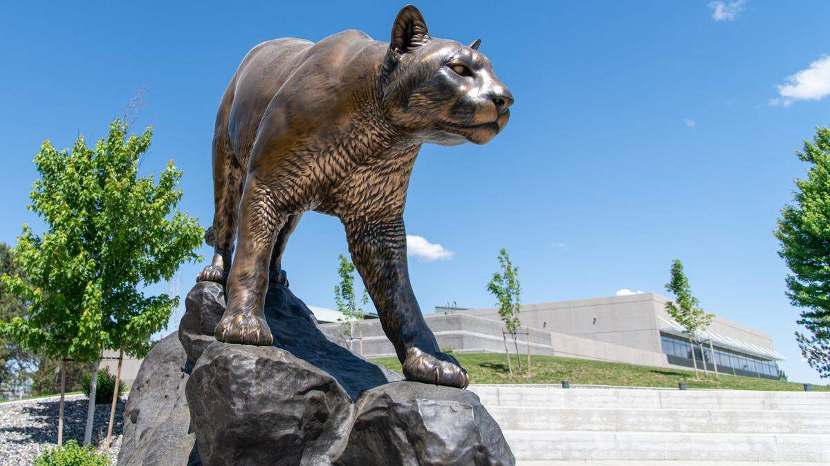 A replica of the Cougar Pride statue was installed in 2023 at Washington State University Tri-Cities. The campus was founded 35 years ago.