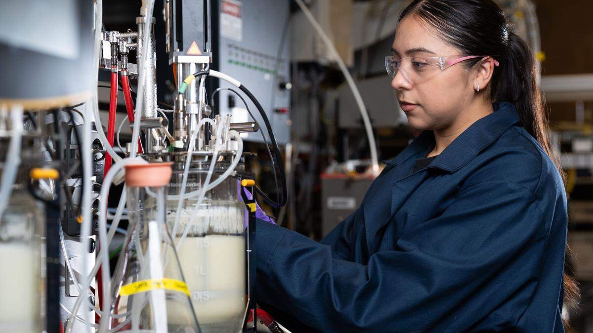 Jasmin Alvarez, a research assistant at PNNL, uses bioreactors to cultivate a type of yeast that produces lipids and oils that can be converted into biofuels.
