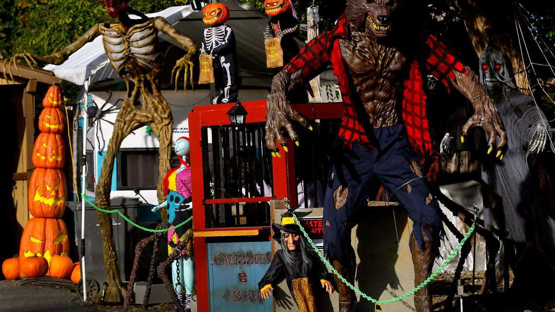 Spooky paintball, forest, zoo? Places in Washington that transform for Halloween season
