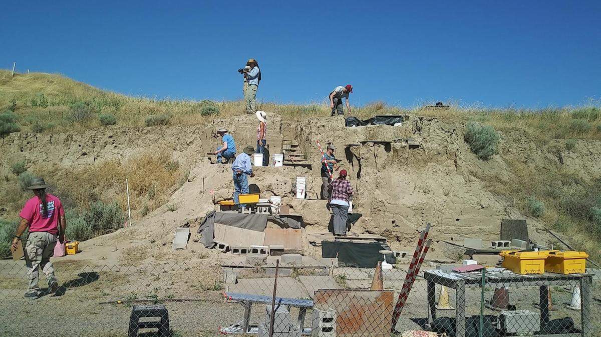 The bones of an ice age mammal are being dug up near Kennewick, Wash.