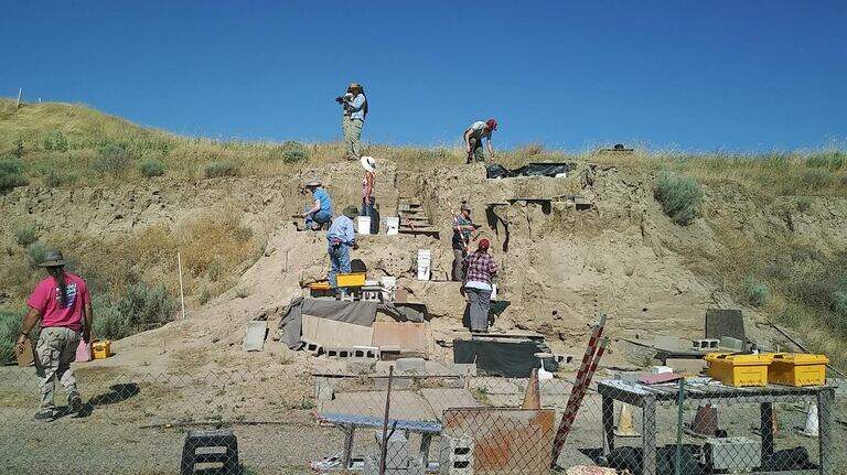 See mammoth bones being unearthed by Tri-Cities, WA. Some tour times still open