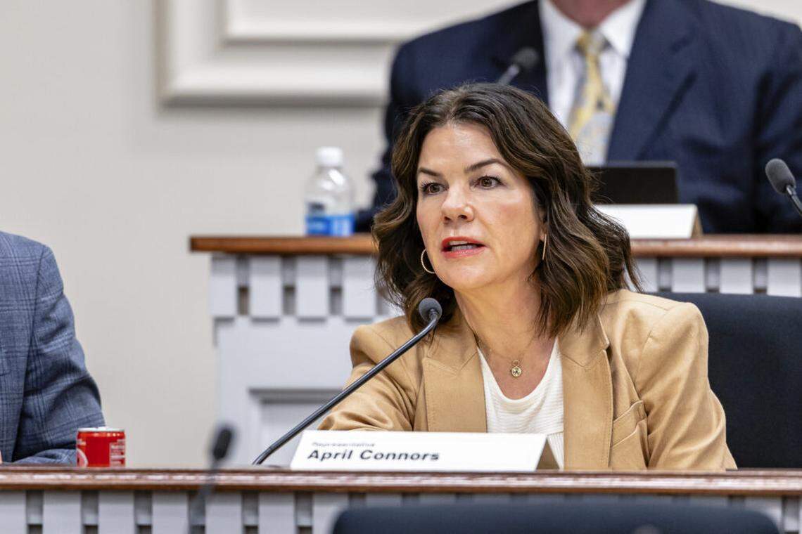 Rep. April Connors serves parts of Kennewick, West Pasco and West Richland in the Washington Legislature.