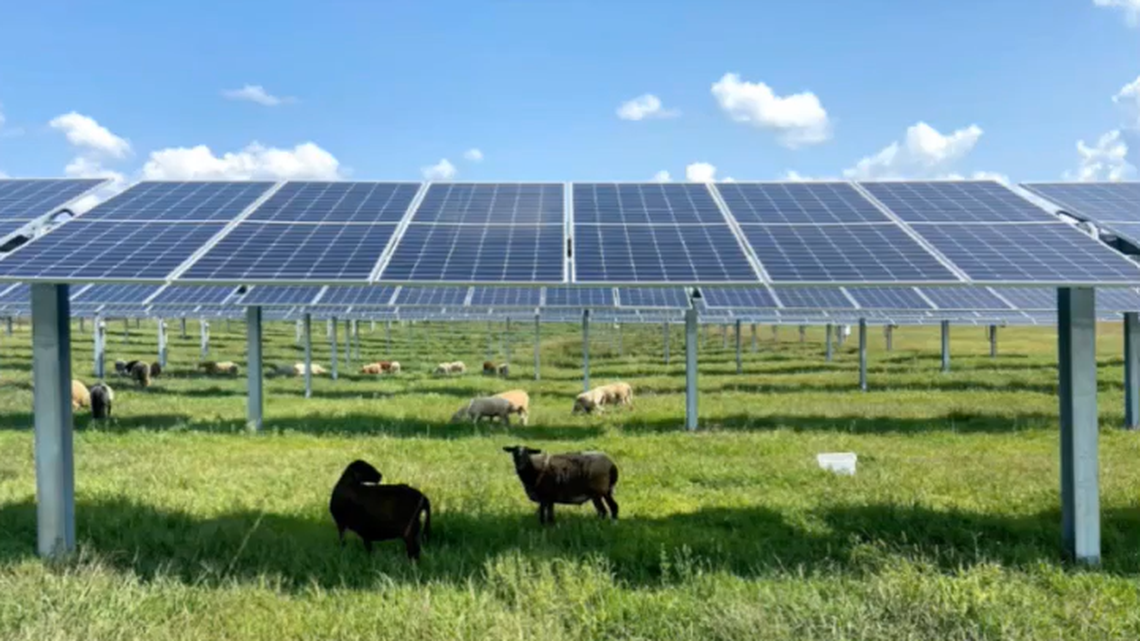 $7.5M solar farm off Highway 395 is a 1st for Franklin County