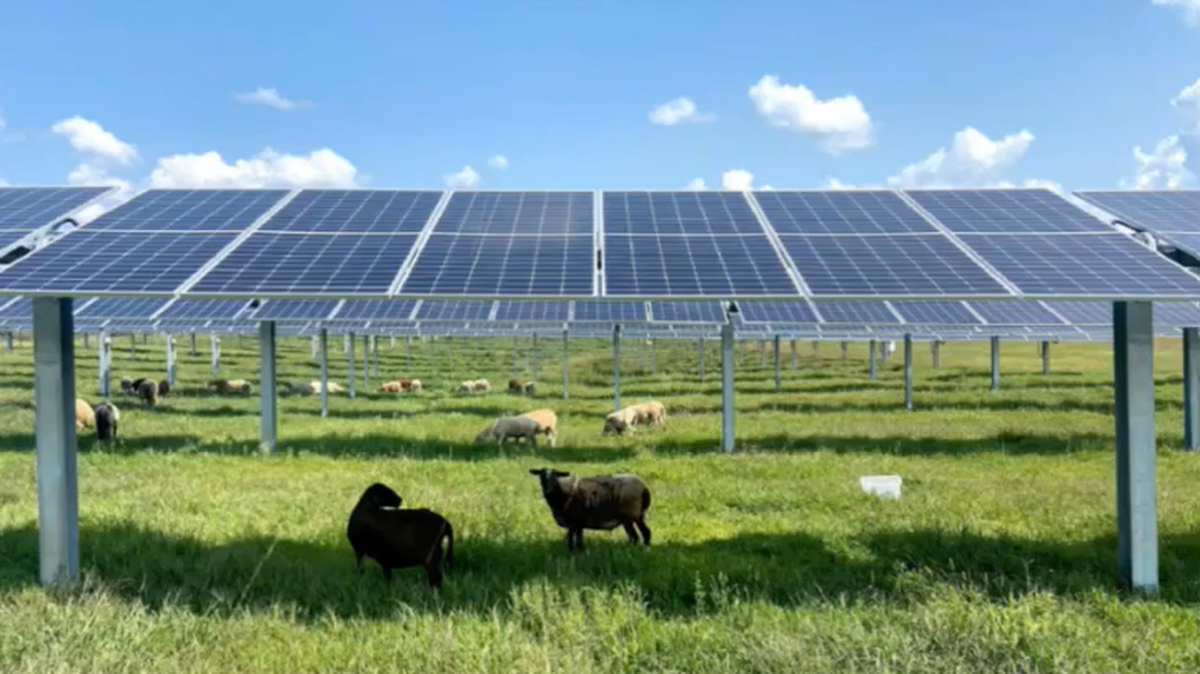 California must seize this historic opportunity to spur investment in clean energy.