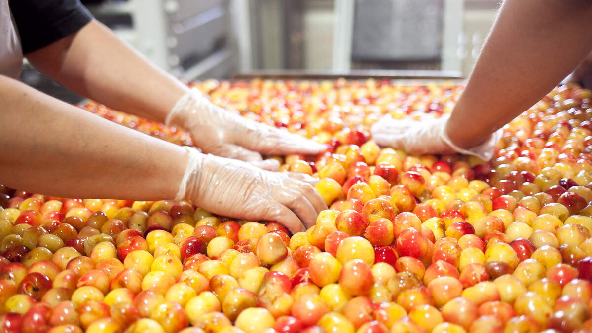 What popular foods, drinks have origins in Eastern WA? These are must-try treats