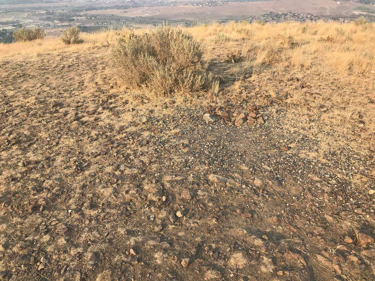 A dirt spot where a memorial rock sat atop Badger Mountain on Aug. 8. The Castorina family dedicated a rock on Badger Mountain to their mom, who lost her battle to cancer. It went missing for a week.