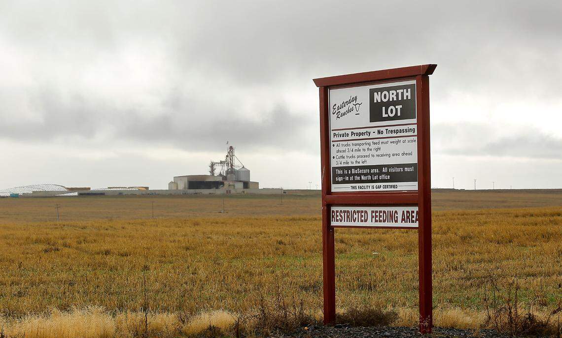 The Easterday Ranches North Lot cattle feedlot was near Eltopia in rural Franklin County.
