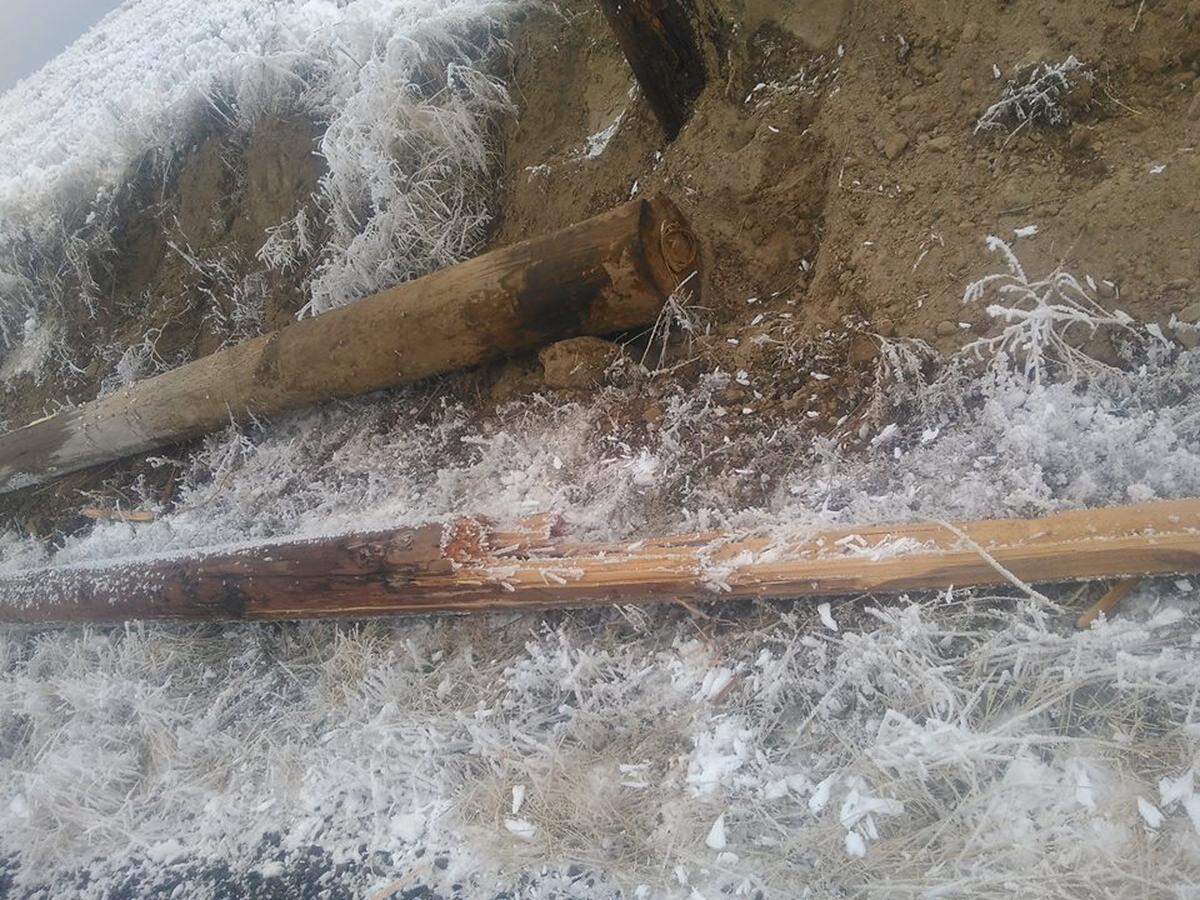 Hoar frost was so heavy Monday night near Rattlesnake Mountain that it snapped 18 Benton REA power poles.